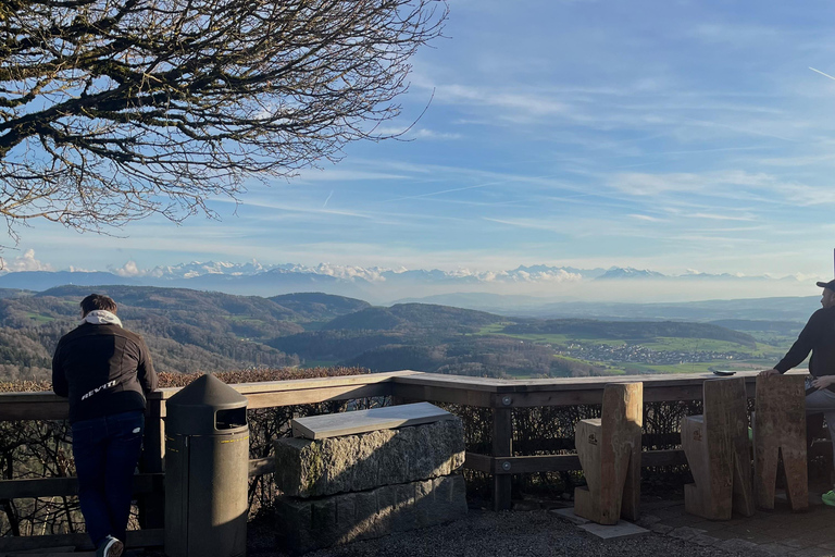 Zurich: Raclette Experience at Uetliberg, Zurich's Viewpoint