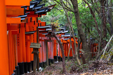 Osaka:Kyoto & Nara & Uji Tour, Todaiji, Fushimi Inari Taisha Nara & Kyoto & Uji Tour | 8:00 AM from Osaka