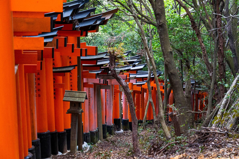 Osaka:Kyoto & Nara & Uji Tour, Todaiji, Fushimi Inari Taisha Nara & Kyoto & Uji Tour | 8:00 AM from Osaka