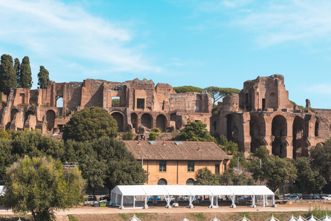 Roma: Coliseu, Monte Palatino, Experiência no Fórum RomanoColiseu com acesso padrão e guia de áudio