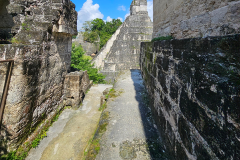 Tikal Group Tour Transportation, Guide plus Lunch Tikal grupo guía mas almuerzo