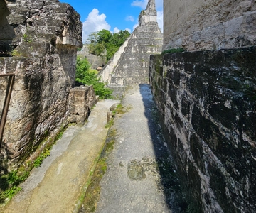 Excursion en groupe à Tikal Transport, guide et déjeuner