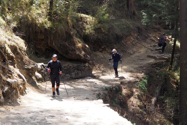 Katmandou : 14 jours de trek au camp de base de l&#039;Everest et au Kala Patthar