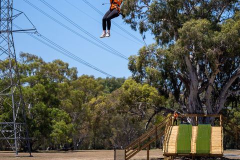Adelaide: TreeClimb Adventure