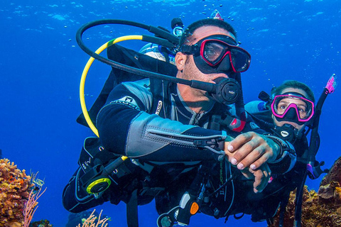 Miami Beach: Guided 2-Tank Reef and Wreck Dive Trip