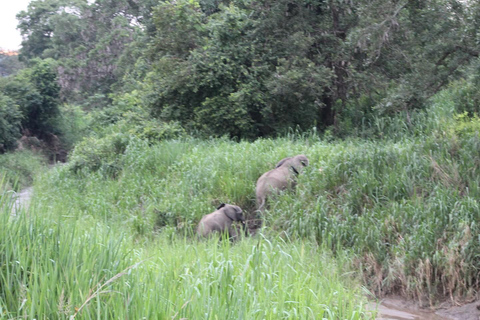 SAFARI WILDLIFE FROM ZANZIBAR TO MIKUMI 3 DAYS 2 NIGTHS