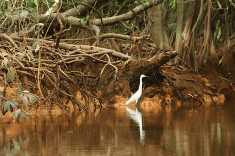 Khao Lak: Sri Phang Nga National Park und Takuapa Tour