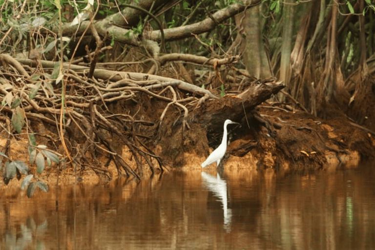 Khao Lak: Sri Phang Nga National Park und Takuapa Tour