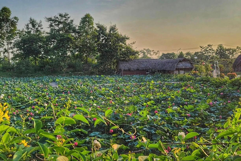 Hanoi Countryside Bike Tour: Rice Fields & Snake Village