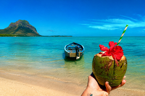 Mauritius: Dolphins, Crystal Rock & Catamaran BBQ Cruise