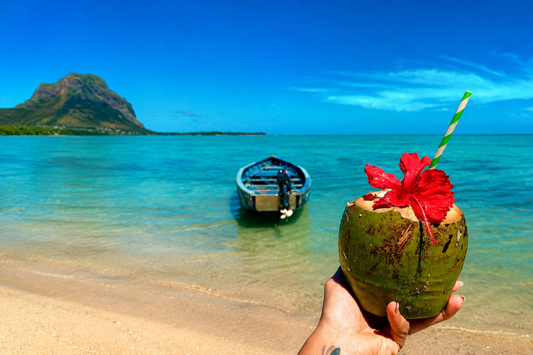 Mauritius: Dolphins, Crystal Rock & Catamaran BBQ Cruise