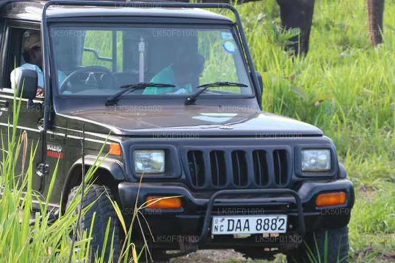 Kandy to Wilpattu Day Tour - Visiting Famous Places