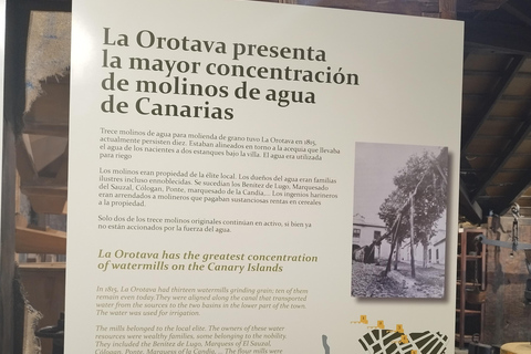 Visita guiada a pé em La Orotava, Tenerife