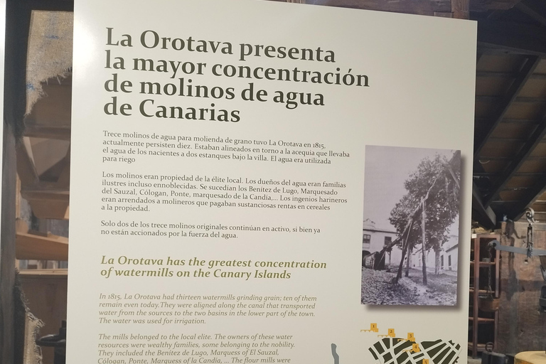 Visita guiada a pé em La Orotava, Tenerife