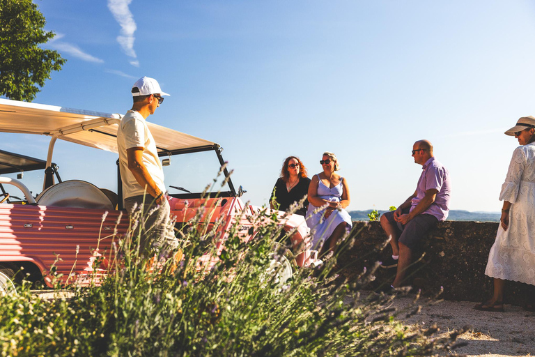Gourmet road trip and visit to the Domaine des 3 Cellier in Châteauneuf-du-Pape