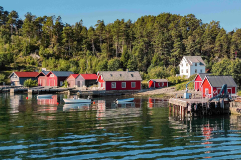 Wycieczka z przewodnikiem: Hardangerfjord, wodospady i przeprawa promem