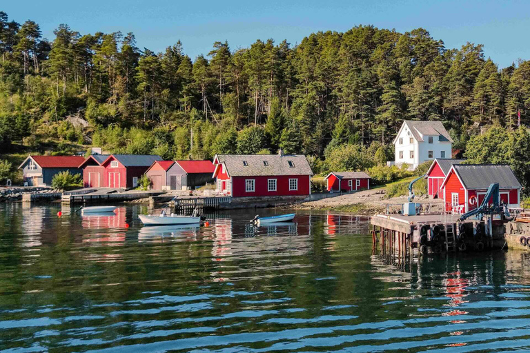 Wycieczka z przewodnikiem: Hardangerfjord, wodospady i przeprawa promem
