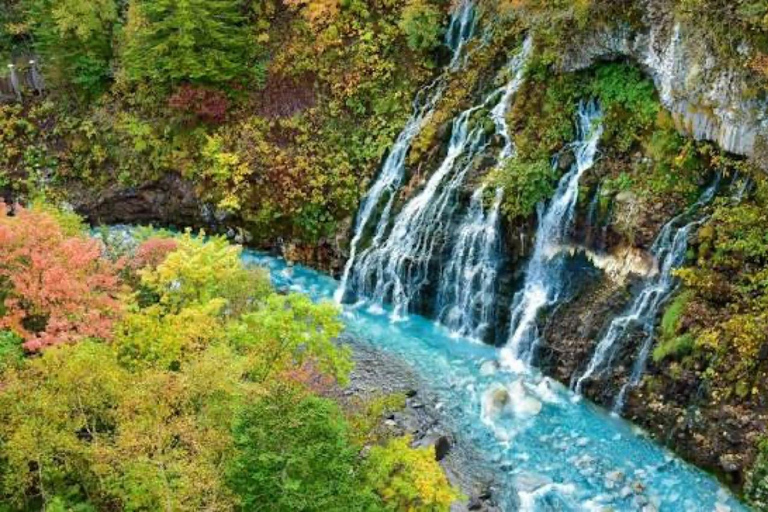 From Sapporo: Biei Blue Pond & Furano Flowers Day Tour Alphard (up to 5) — Private Day Tour