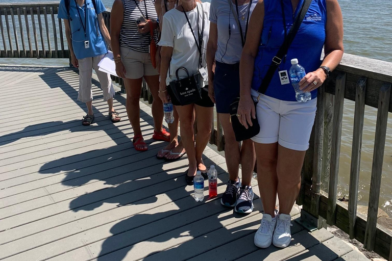 Chesapeake Beach: Begeleide wandeltocht naar The Cliffs