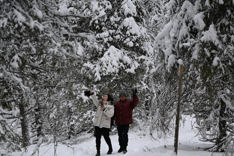 Rovaniemi: Korouoma Frozen Waterfalls Hike & Hot BBQ Lunch Rovaniemi: Korouoma Small Group Guided Hike & Hot BBQ lunch
