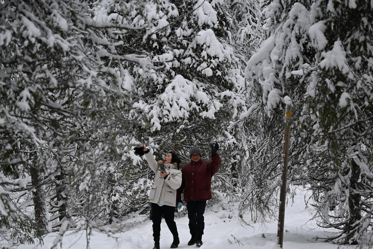 Rovaniemi: Korouoma Frozen Waterfalls Hike & Hot BBQ Lunch Rovaniemi: Korouoma Small Group Guided Hike & Hot BBQ lunch