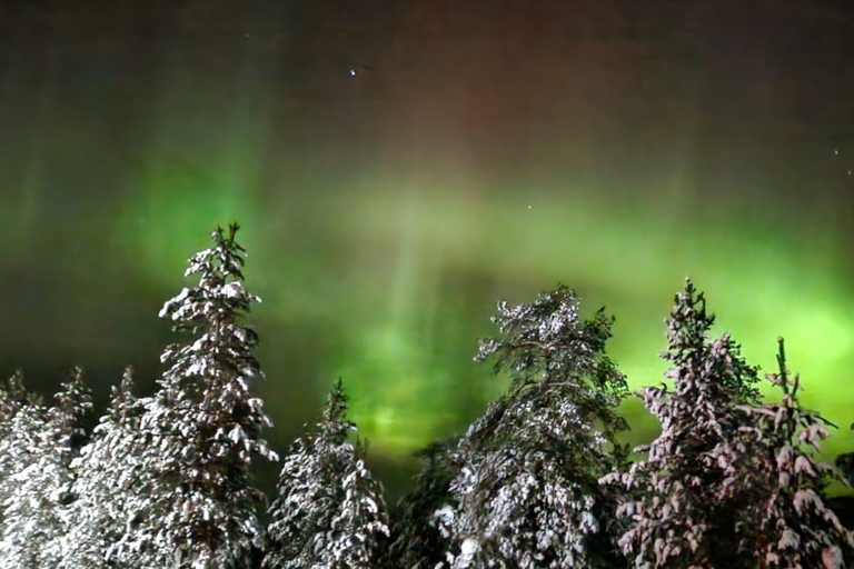 Levi: Northern Lights by Snowshoe Hike with Latvian Guide Northern Lights Snowshoe Hike in Levi with Latvian Guide