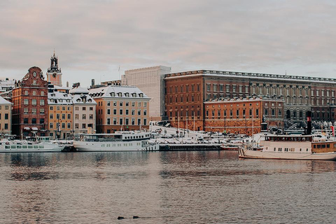Estocolmo: crucero con almuerzo buffet navideño y vino calienteEstocolmo: crucero navideño con almuerzo buffet y vino caliente