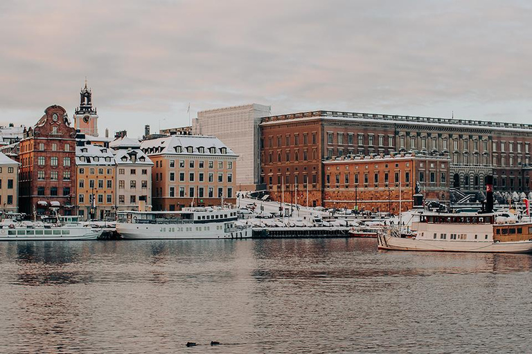 Estocolmo: crucero con almuerzo buffet navideño y vino calienteEstocolmo: crucero navideño con almuerzo buffet y vino caliente