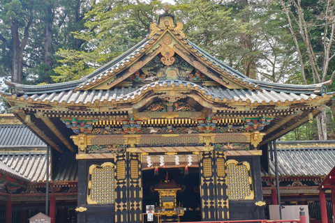 Tokyo: Nikko Private Day Tour with Pickup