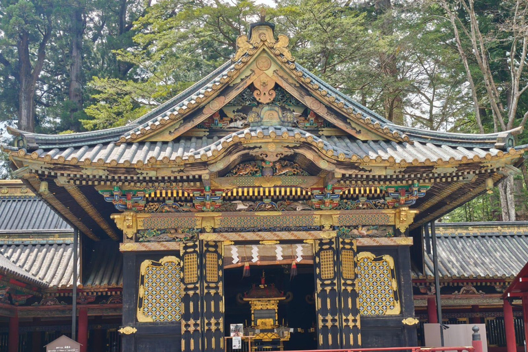 Tokyo: Nikko Private Day Tour with Pickup