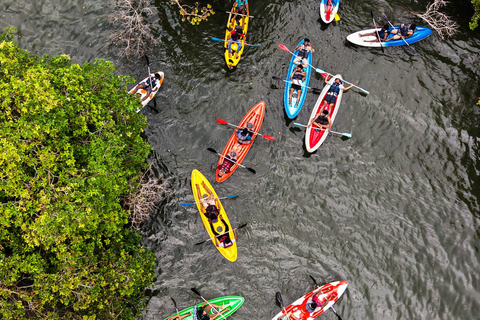 Sigiriya to Trincomalee: Kayaking & Floating Restaurant Tour