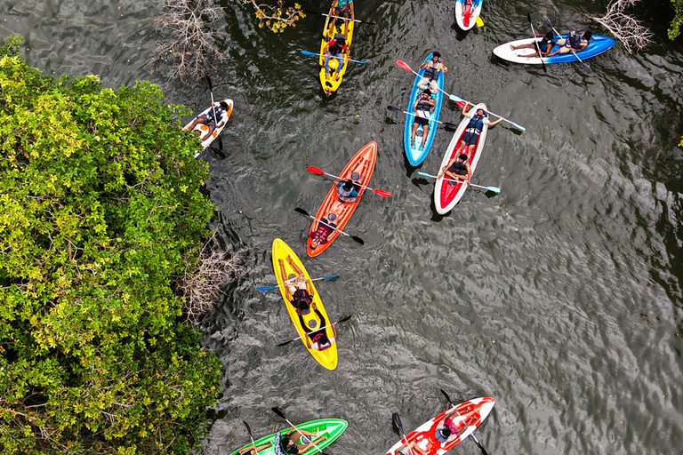 Sigiriya to Trincomalee: Kayaking & Floating Restaurant Tour