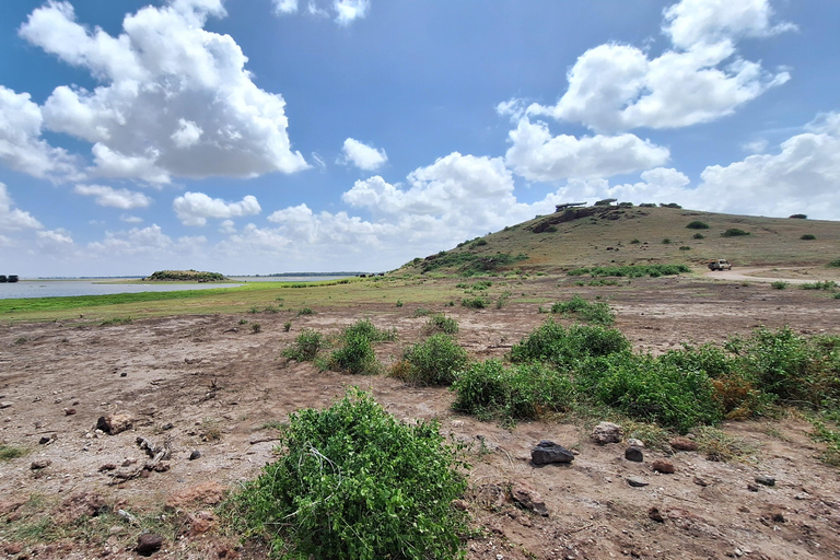 Nairobi: Amboseli National Park Tagestour mit PirschfahrtenSolo Nairobi: Amboseli National Park Tagestour