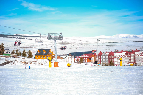 From Baku: Day Tour with Gabala Tufandag and Alpaca Farm Private Gabala–Tufandag Alpaca Farm Tour (Up to 7 Guests)