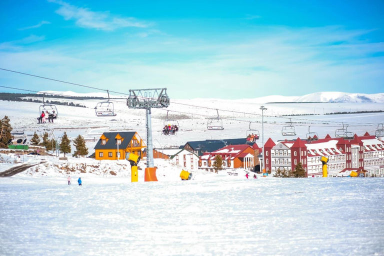 From Baku: Day Tour with Gabala Tufandag and Alpaca Farm Private Gabala–Tufandag Alpaca Farm Tour (Up to 7 Guests)