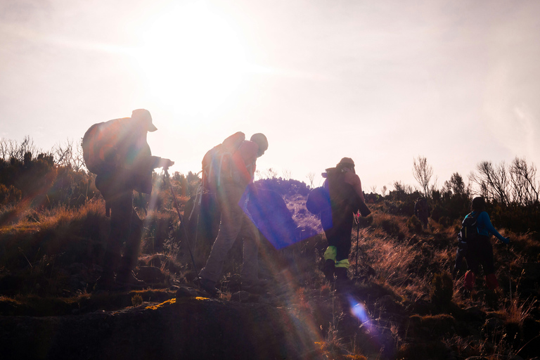 4 jours au Mont Kenya : Randonnée palpitante sur la route du Sirimon