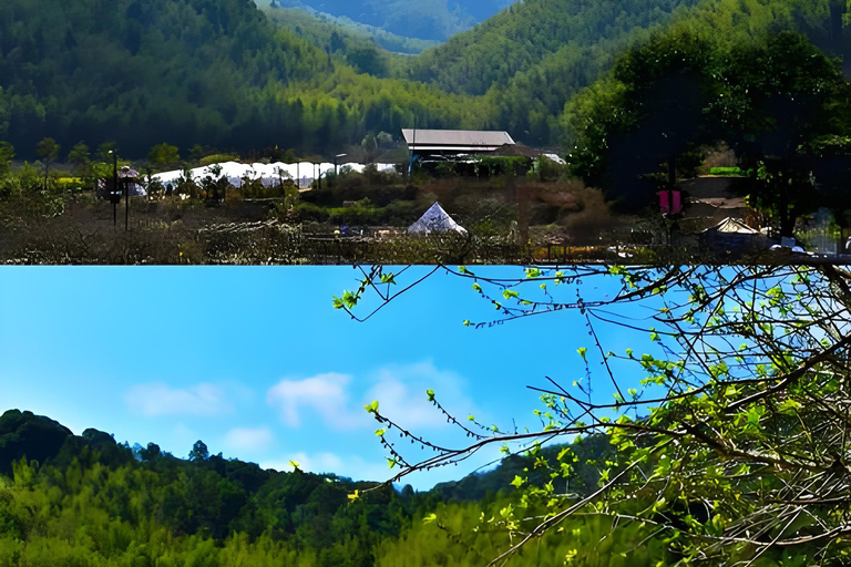 Guangzhou Conghua: One-Day Chartered Guide in Xitou Village