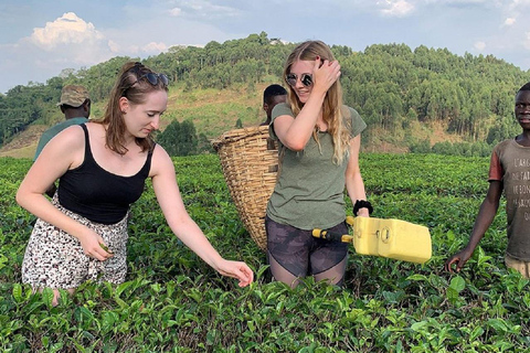 Uganda: Village Life Experience, Cooking Class & Farming