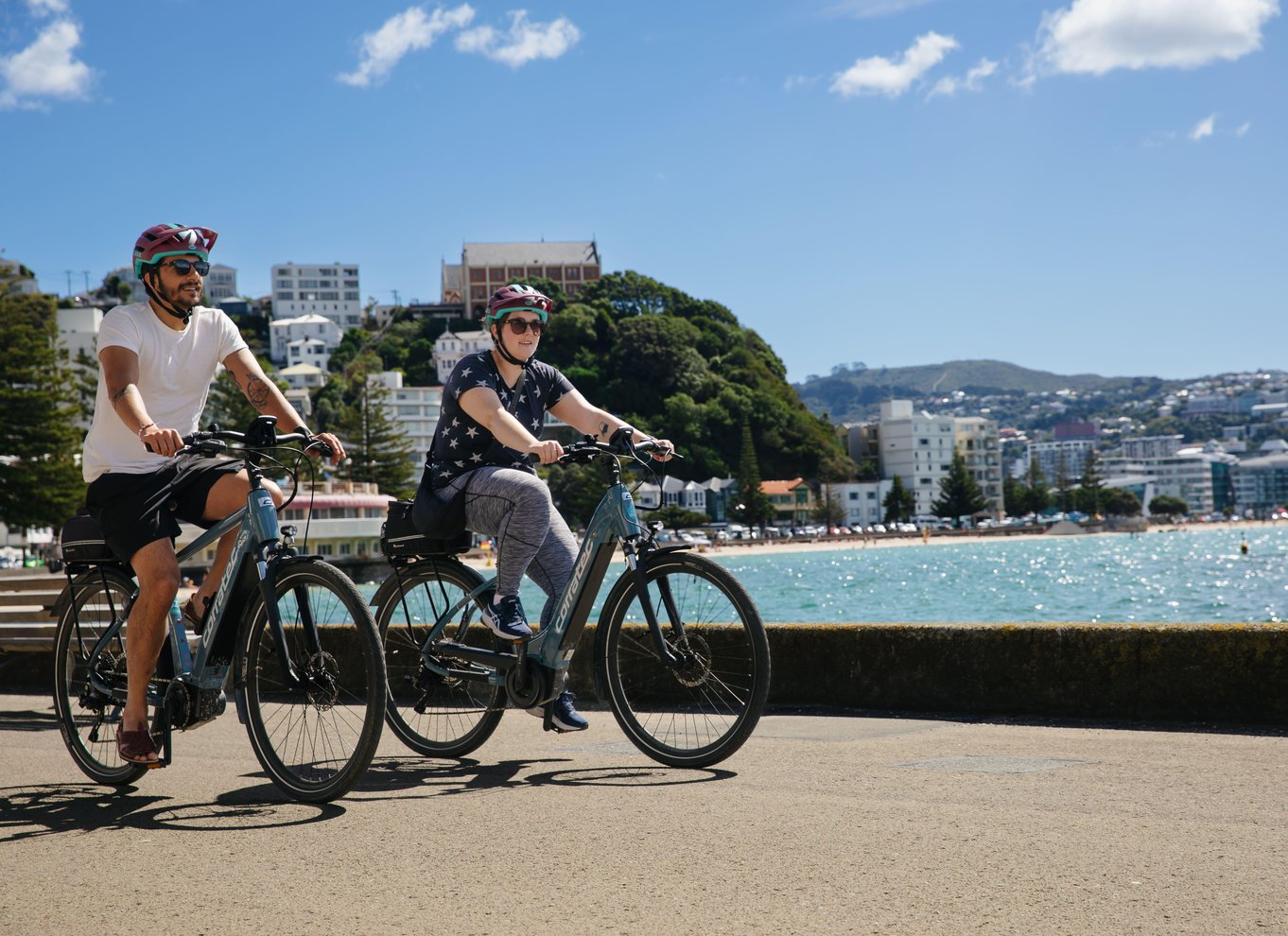 Wellington: Easy Rider guidet tur på eBike