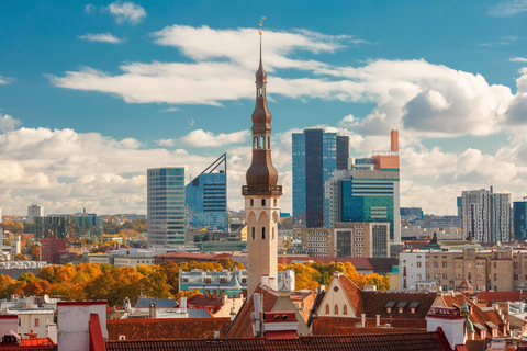 Tallinn: Insta-perfekt promenad med en lokalbo