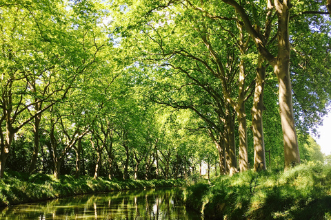 Riquet Cruise: Discover the Canal du Midi in Toulouse