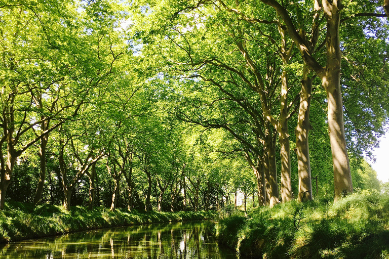 Riquet Cruise: Discover the Canal du Midi in Toulouse
