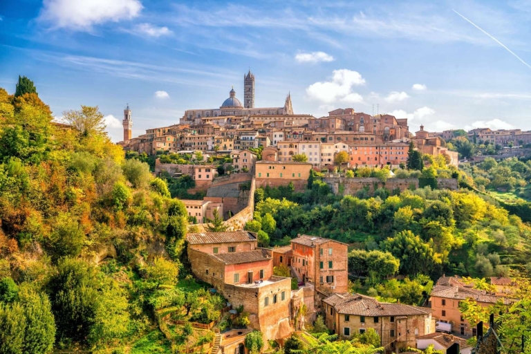 Visite privée de Pise, Sienne et Chianti depuis Florence en voiture11 heures : Pise, Sienne, San Gimignano