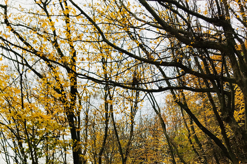 Longevity Secrets of Azerbaijan: Lankaran & Astara tour Private tour