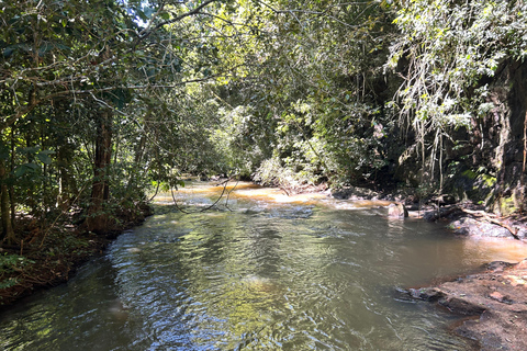 Essence of Iguazú: Full-Day Tour of Iguazú Falls (Brazil Side) and São João Trail Essence of Iguaçu: Full Day at Iguaçu Falls, Brazil, and São João Trail