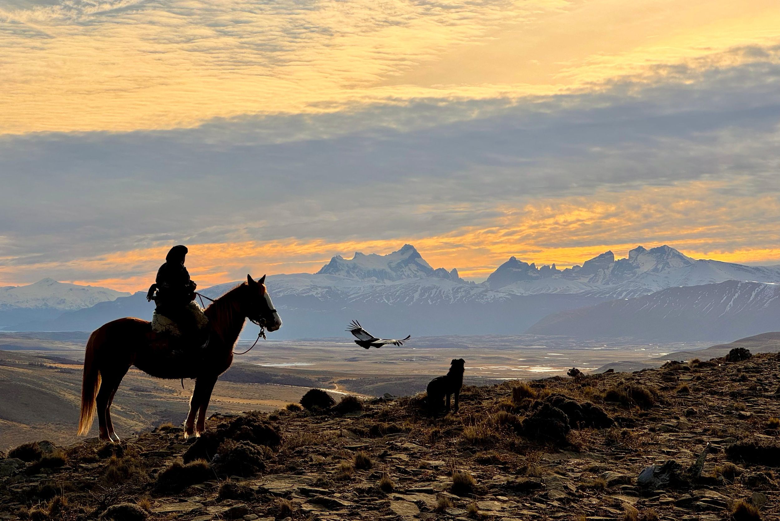 Puerto Natales: Ganztägiger Reitausflug in die Berge