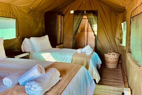 3-tägige Pilanesberg Tlou En-Suite Zelt-Safari3-tägige Pilanesberg Tlou Safari mit Zeltunterkunft und eigenem Bad