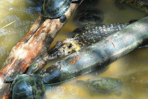 Treasures of the Amazon: Adventure and Tradition in Peru