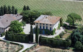 Chianti Classico: Olive Grove Tour with Oil Tasting & Lunch