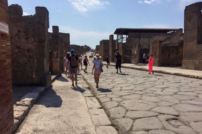 Pompeya: tour a pie guiado con entradaTour en francés
